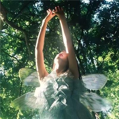 八零之锦鲤福宝宠上天